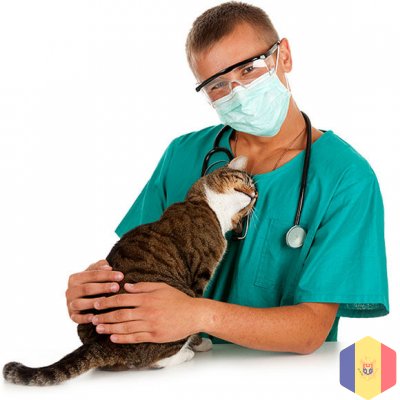 Ветеринарный врач. Круглосуточный выезд на дом