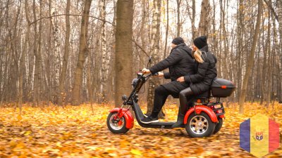 Электроскутер White Siberia Pro Trike