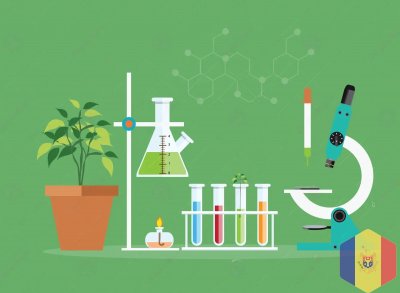 Репетиторство по Химии и Биологии, Онлайн, обучение с нуля, Подготовка к ЕГЭ!