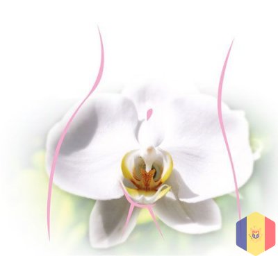 Reintinerirea vaginului cu laser sau rejuvenare vaginala (vaginoplastie cu laser) in Moldova!