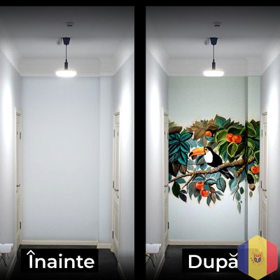 Роспись стен, роспись потолков Picturi pe perete, Pictură  tavane, design interior