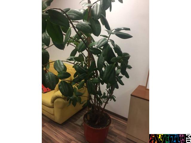 Распродажа офисной мебели. В отличном состоянии!