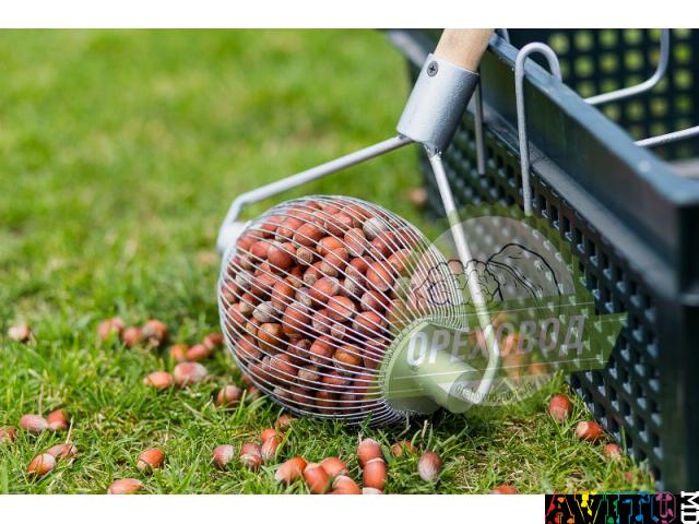 Ролл для сбора грецкого ореха, яблок, фундука