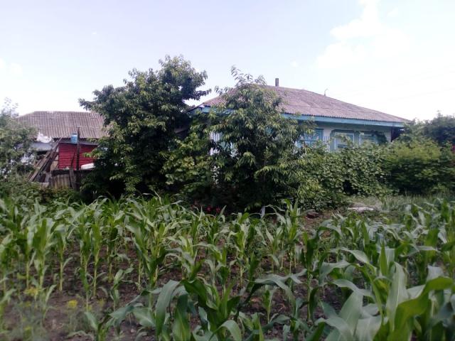 ПРОДАМ ДОМ + 14 соток, гараж, колодец. ТОРГ