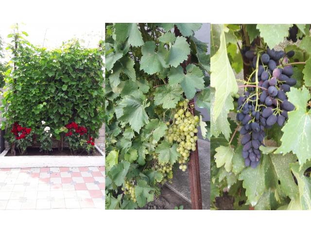 Продается Капитальный Дом