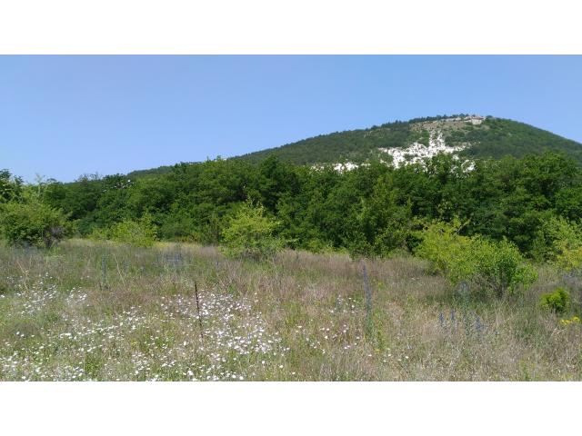 Ищу помощника, мастера на все руки