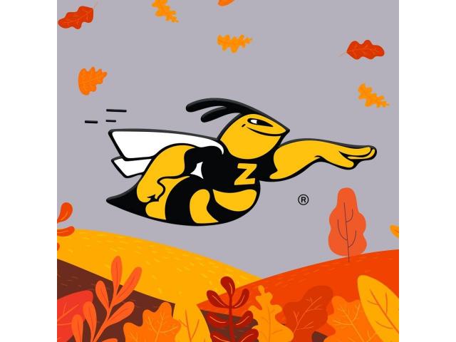 Ia un credit doar cu buletinul și scapă de datorii